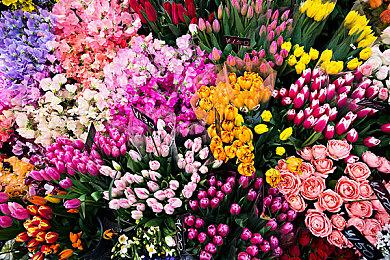 《狂野之心S》四人联机演示 14分钟呈现多人玩法